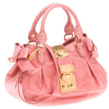 Tasche für 860 Euro