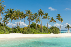 NIYAMA Malediven