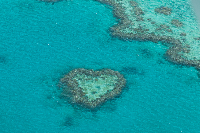Great Barrier reef Heart Reef
