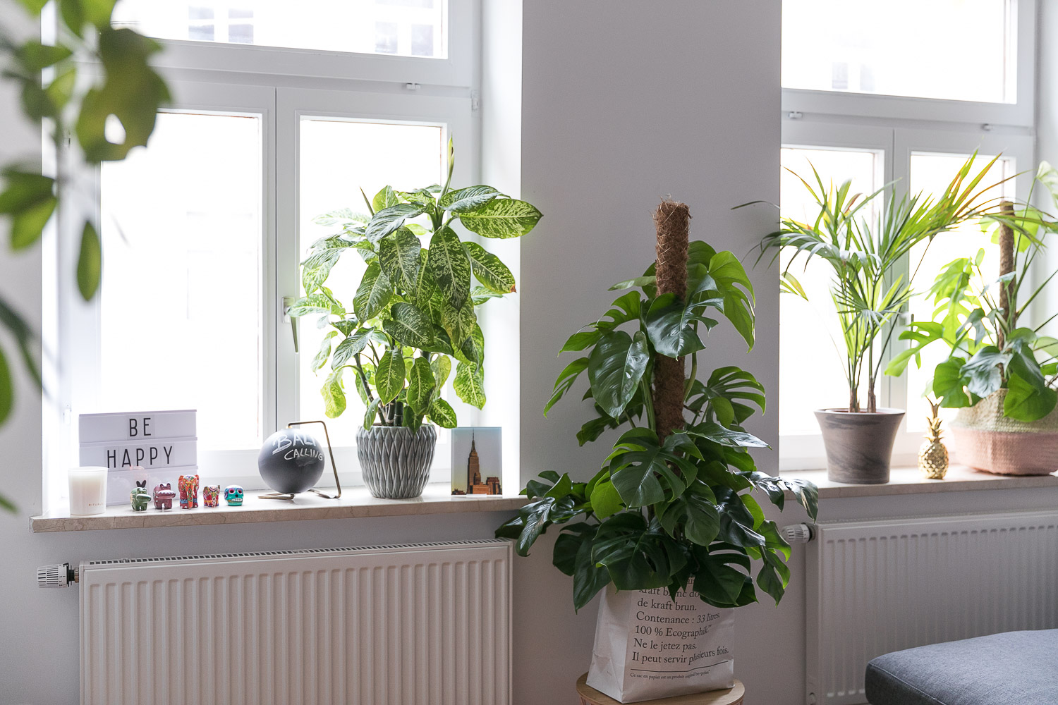 Dekoration Fensterbank Pflanzen-5 - Josie Loves