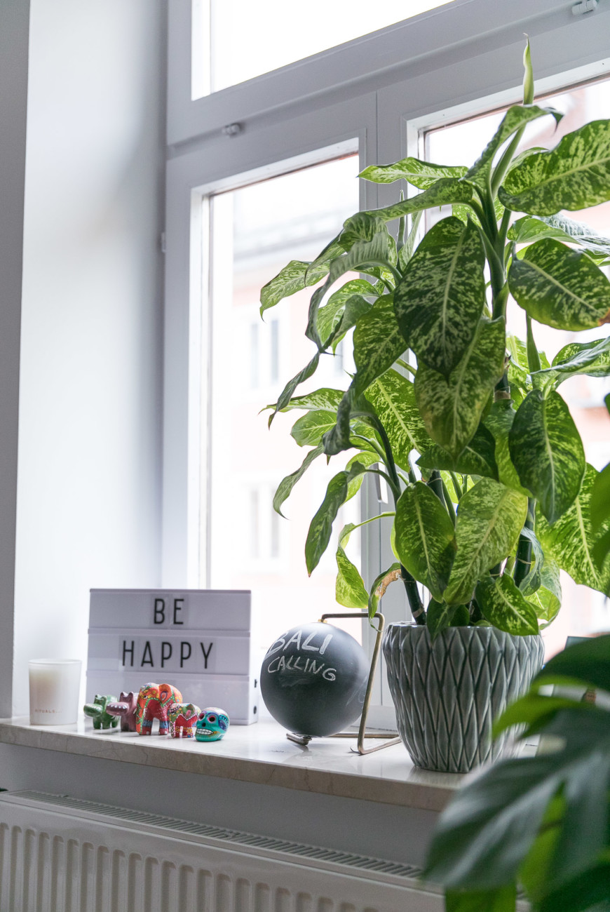Dekoration Fensterbank Pflanzen6 Josie Loves