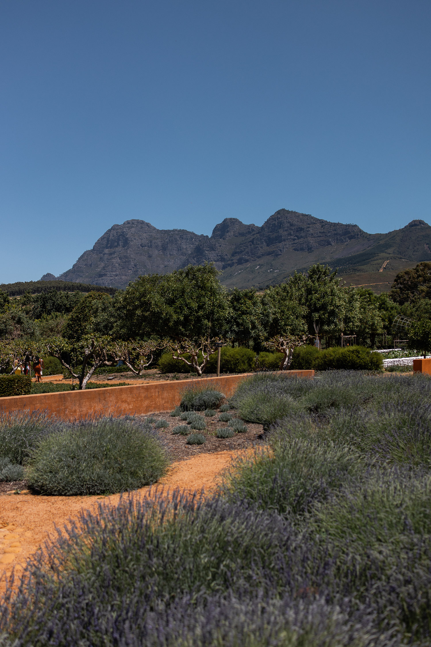 Tipps F r Eine Reise Nach Franschhoek Josie Loves tipps-f-r-eine-reise-nach-franschhoek-josie-loves